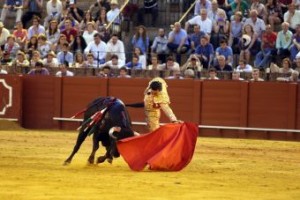 FOTO: JOËL BURAVAND NECESARIAS NOVILLADAS. Si Joaquín Galdós no torease en al menos dos novilladas en la Feria del Señor de los Milagros 2015, Citotusa demostraría falta de sensibilidad respecto a lo que la afición limeña desea ver en Acho.