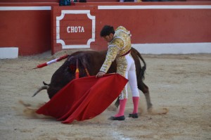 FOTO: MIGUEL PARDO SIN TORO NO HAY TAUROMAQUIA. Es el elemento que debe cuidarse con más esmero; en la imagen, el sevillano Antonio Nazaré 