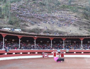 FOTO: PABLO JAVIER GÓMEZ DEBARBIERI POR NAVARRAS. Llamadas en México "chicuelinas antiguas", fue el lance ejecutado por Él Conde'.