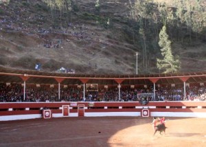 FOTO: PABLO JAVIER GÓMEZ DEBARBIERI POR LA ESPALDA. Cubas cambia la embestida del toro al inicio de la faena al segundo de la tarde.