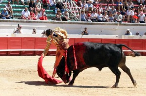 FOTO: JOËL BURAVAND BAJANDO LA MANO. Roca Rey en Beziers el día 16.