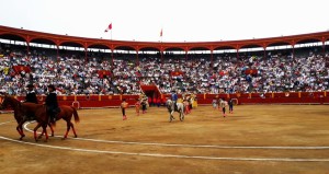 FOTO: PABLO JAVIER GÓMEZ DEBARBIERI EXPECTATIVA. Buenos carteles para Acho; hará falta promoción y creatividad de Citotusa para que semejante esfuerzo económico no caiga en saco roto; es su responsabilidad; imperdonable que no tuviesen éxito.