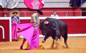 FOTO: CARLOS BERNABÉ & EVA SÁNCHEZ - CHOPERA TOROS DE VACÍO. Aligual que Morante, El Juli vio triunfar a Roca Rey, sin que él obtuviese ningún trofeo.