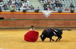 Blog Arnedo 08