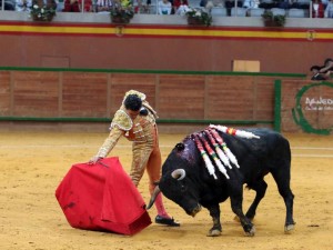 Blog Arnedo 17