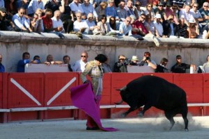 FOTO: JOËL BURAVAND ESFUERZO CONSTANTE. “Más que disfrutar, al empezar esta profesión es necesario arrimarte mucho y triunfar a como dé lugar.”