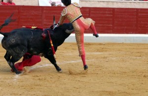 FOTO: JOËL BURAVAND CORNADA Y FRACTURA. En su última novillada, sufrió una cornada de 18 cm en el muslo y se fracturó el primer metacarpiano de la mano izquierda.