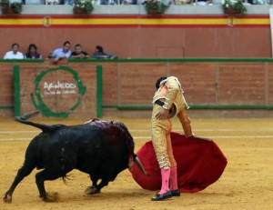 FOTO: JOËL BURAVAND BRAVO GALOPE. Galdós fue capaz de encauzar en su muleta las exigentes embestidas de ‘Esmerado’ y su emocionante bravura.