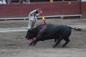 Blog FOTO 26 Dennis Castillo (toro de Morante)