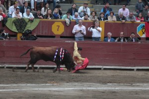 Blog FOTO 47 Adame en el estribo