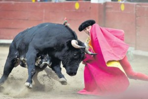 FOTO: JUAN PONCE Tempesta d. Rafaelillo tratando de domeñar las impetuosas embestidas del complicado y riesgoso cuarto toro de Miura ayer en Acho.