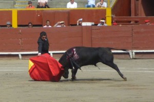 FOTO: PABLO JAVIER GÓMEZ DEBARBIERI DIFICULTADES. Serna tuvo que sobreponerse a la mansedumbre y dificultades del primero de la tarde.