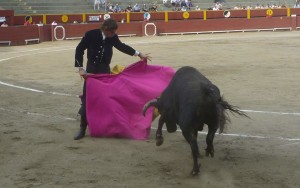 FOTO: PABLO JAVIER GÓMEZ DEBARBIERI TERCER NOVILLO. José Alfredo Koechlin lanceando al de Villa Graciela.