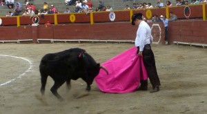 FOTO: PABLO JAVIER GÓMEZ DEBARBIERI TOREO CAMPERO. Roldán, técnicamente preparado, pero faltándole gustarse ante su bravo novillo, toreó como en el campo. 