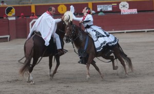 FOTO: JUAN PONCE MARINERA. Se pudo apreciar el baile típico peruano, pero a cargo de un chalán y una amazona, montados sobre caballos de paso peruanos.