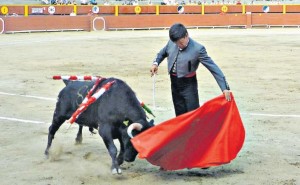 FOTO: PABLO JAVIER GÓMEZ DEBARBIERI SOBREPONIÉNDOSE. José I. Bullard superando las complicaciones de su novillo, en lucido muletazo.