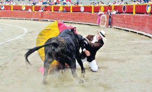 FOTO: PABLO JAVIER GÓMEZ DEBARBIERI FUERTE COGIDA. Raúl Aramburú sufrió una fuerte voltereta al recibir a su novillo; se sobrepuso y terminó cuajándole una buena faena.