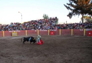 FOTO: PABLO JAVIER GÓMEZ DEBARBIERI INDULTO. El sexto de la corrida, buen toro de J.B. Caicedo, fue indultado por Alfonso de Lima.