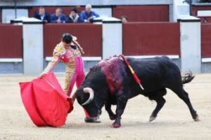 FOTO: JOSÉ ORTIZ ‘CHELE’ TEMPORADA DECISIVA. Esta, la de su alternativa en junio, será decisiva para el joven novillero peruano Joaquín Galdós.