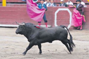 FOTO: ARCHIVO EL COMERCIO exigencia. Será difícil que la afición limeña acepte una feria sin ganado español, especialmente después de lo visto el año pasado.