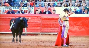 CAPTURA DE PANTALLA  SIN ESTOQUE. Arrojando la espada, para rematar la faena al primero por luquesinas.