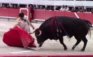 FOTO: CAPTURA DE PANTALLA Si los toros no brindan posibilidades de triunfo, Andrés se juega la vida para triunfar todas las tardes; única forma de llegar a ser figura.