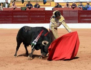 FOTO: FUSIÓN INTERNAC. POR LA TAUROMAQUIA GRAN TRIUNFO. Andrés Roca Rey instrumentó magníficos naturales , ayer en Olivenza, y cortó las dos orejas y el rabo al tercer toro.