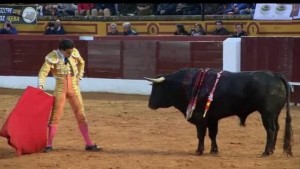 FOTO: CAPTURA DE PANTALLA reto . Grandes desafíos tiene aún por delante Joaquín Galdós, que el viernes toreó en Olivenza una novillada de El Juli.