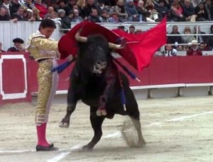 FOTO: CAPTURA DE PANTALLA Andrés, buen papel en México con toros desrazados.