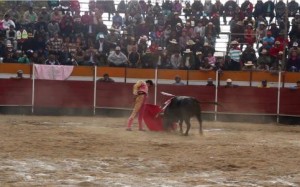 FOTO: PABLO JAVIER GÓMEZ DEBARBIERI Joaquín Galdós, toreando al natural; cuajó una gran faena al primer novillo en Carhua, Canta y estuvo muy bien en los otros dos.