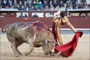 FOTOS: PÁG WEB PLAZA DE TOROS DE LAS VENTAS Talavante estuvo muy bien con el complicado quinto, al que logró meter en muleta y cortarle una oreja.