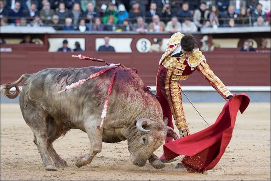 Andrs Roca Rey Sali En Hombros En Madrid Con Video De Faena De D