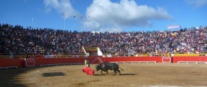 La Plaza de Cutervo, que se llena también todas las tardes, con el cartel de este año, también verá multiplicarse la reventa de entradas.