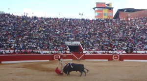 Juan del Álamo cuajó magníficos derechazos al quinto de la tarde, buen toro de Aníbal Vásquez.