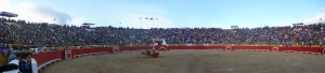 FOTO: PABLO JAVIER GÓMEZ DEBARBIERI La plaza de Cutervo llena hasta la bandera todas las tardes; Juan Leal ante el mejor toro de la feria, el jabonero número 661 de Caicedo.