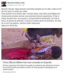 Blog FOTO N° 3 Comentario Rozas muerte V Barrio (9 jul 2016)