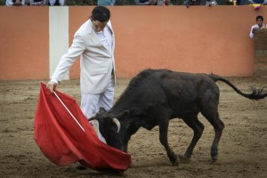 FOTO: LULA CEBRECOS Willy Calderón liidió la segunda vaca.