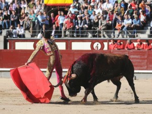 FOTO: PAG WEB PLAZA DE LAS VENTAS Víctor Barrio, ofrenda de sangre el pasado sábado en la plaza de Teruel, Aragón; quedaron truncos los sueños que muy pocos alcanzan.