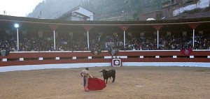 FOTO: PABLO JAVIER GÓMEZ DEBARBIERI Cubas con el bravo y enrazado quinto toro de Camponuevo.