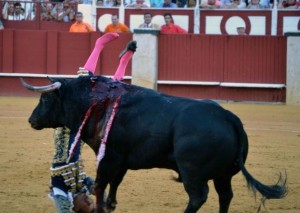 FOTO: FIT Málaga, el jueves; dando el tercer natural de una serie notable, Andrés fue violentamente volteado, cayendo de cabeza.