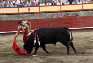 FOTO: JUAN ANDRES CARTÓN LÓPEZ Joaquín Galdós, inteligente para entender a sus toros el sábado; logró centrarse con ellos y les cuajó dos buenas faenas.