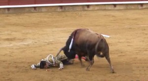 FOTO: Captura de Pantalla Andrés Roca Rey, inconsciente en el suelo, tras la fuelte voltereta sufirda ayer en Palencia, norte de España.