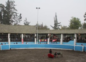 FOTO: PABLO JAVIER GÓMEZ DEBARBIERI Una coqueta plaza en medio de la campiña ecuatoriana, a 3.000 m.s.n.m., es la sede de la Feria del Aficionado Práctico en Ecuador.