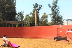 FOTO: JUAN MEDRANO - PERUTOROS Luis López, novillero nacional que actuará este domingo, mostró actitud y valor en un tentadero el jueves en Camponuevo.