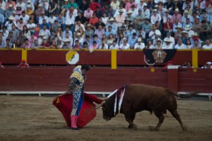 Arrucina de Talavante, equilibrio entre la hondura y la variedad.