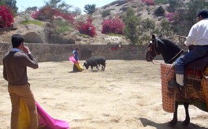 FOTO: PABLO JAVIER GÓMEZ DEBARBIERI Tentadero. Joaquín Galdós lancea por chicuelinas a un novillo, mientras Alberto López Simón observa. 