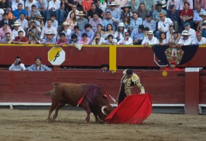 FOTO: JUAN PONCE Ponce, ganador de cinco escapularios reales y uno apócrifo.