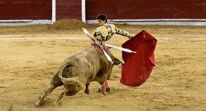 FOTO: PLAZA DE TOROS DE CALI Andrés Roca Rey iniciando su faena al jabonero Jailoso de Paispamba, el día 26, estremeciendo a Cali al cambiarlo por la espalda.