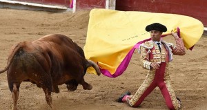 FOTO: PLAZA DE TOROS DE CALI Así recibió Luis Bolívar a Relevista, toro indultado de Rincón.