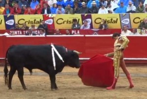 FOTO: CAPTURA DE PANTALLA Roca Rey permaneció en el ruedo de Manizales, a pesar de estar herido; véase cómo se le escurre la sangre por la pantorrilla.